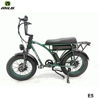Cea mai bună utilitate E Snowmobile